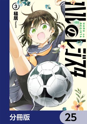 �ϥ�Υ쥸������ʬ���ǡ� 25