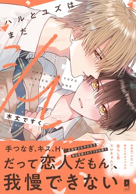 �ϥ�ȥ楺�Ϥޤ����Ƥʤ���ñ�����ǡۡ��ŻҸ�������������̡���դ���