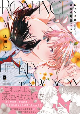 ���ޥ󥹤�304�漼�Υ�����ñ�����ǡۡ��ŻҸ�������������̡���դ���