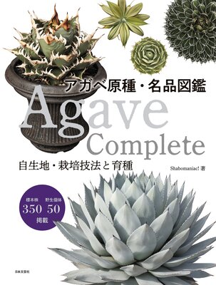 Agave Complete �����ٸ��̾�ʿ޴�