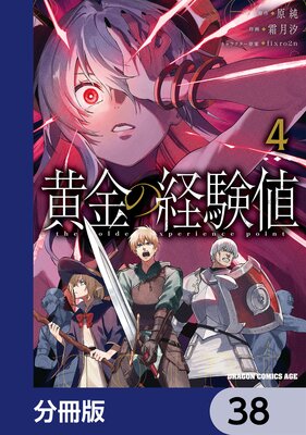 ����ηи��͡�ʬ���ǡ� 38