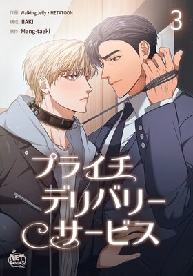 �ץ饤���ǥ�Х꡼�����ӥ�3