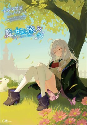 �����ι��25