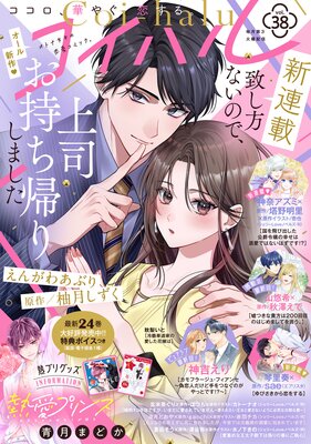 �����ϥ� vol.38��ɽ��