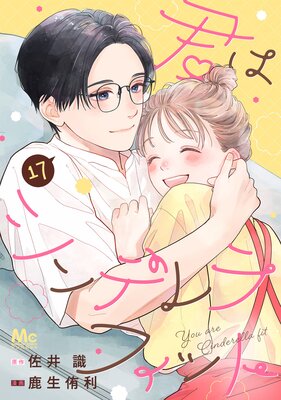 ���ϥ���ǥ��ե��å� 17