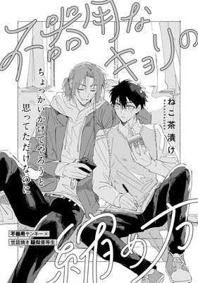 �Դ��Ѥʥ����ν̤���