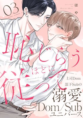 �Ѥ��餦�ۤɤ˽��ä� ʬ���� 3