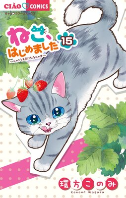 �ͤ����Ϥ���ޤ��� 15