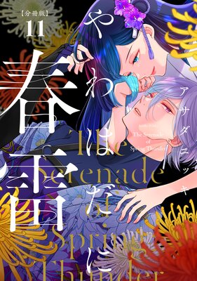 ���Ϥ��˽��� ʬ���� 11��