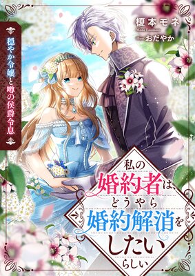 ���䤫���ȱ��θ�����© ��κ���Ԥϡ��ɤ���麧���ä򤷤����餷��