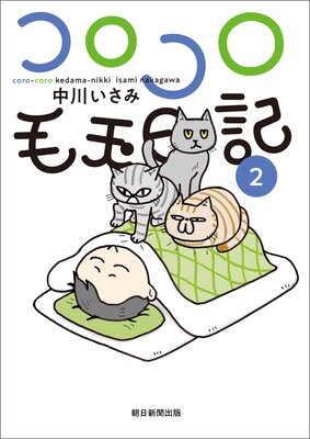 ���������Ӷ�����