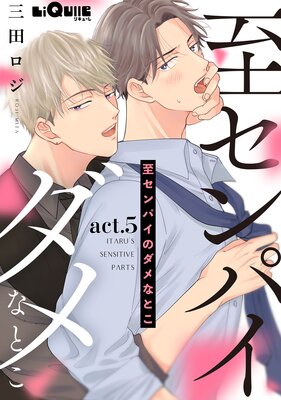 �ꥻ��ѥ��Υ���ʤȤ� act.5