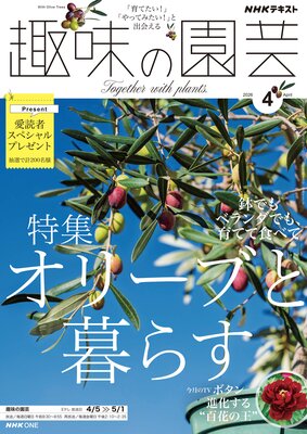 NHK ��̣�α��