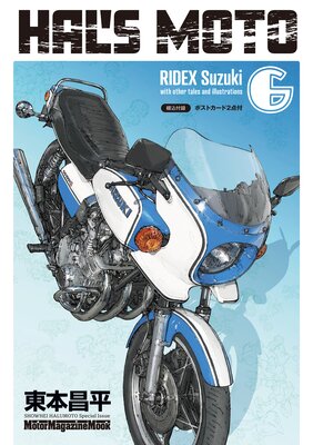 HAL��S MOTO 6 RIDEX Suzuki
