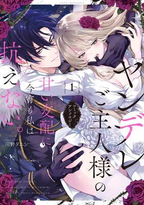 ���ǥ줴����ͤδŤ����ۤ˺������Ϲ����ʤ������ߥå����󥽥�������ɽ��