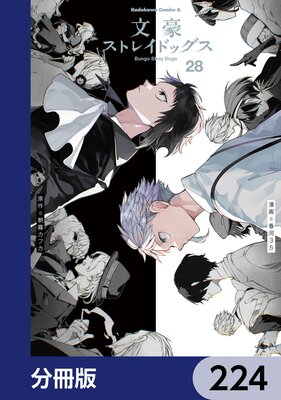 ʸ�륹�ȥ쥤�ɥå�����ʬ���ǡ� 224