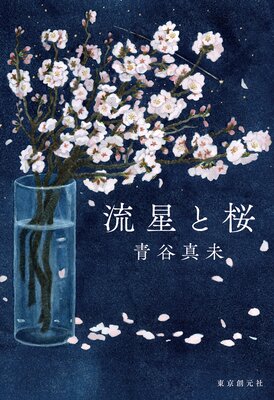 ή���Ⱥ���ɽ��