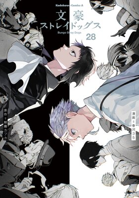 ʸ�륹�ȥ쥤�ɥå�����28�ˤ�ɽ��