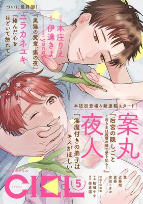 ���Ż��ǡ�CIEL��ɽ��