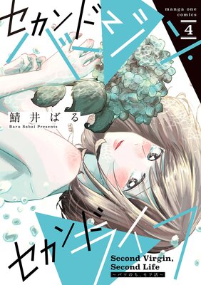 ������ɥС����󡦥�����ɥ饤�ա��ХĤΤ������ճ����ɽ��