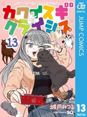 ���磻�������饤���� 13