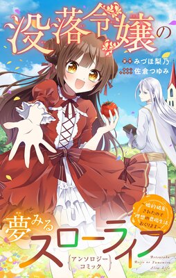 ��������̴�ߤ륹�����饤�ա������˴����줿�Τ����ۤ��������褪����ޤ������󥽥��������ߥå���ɽ��