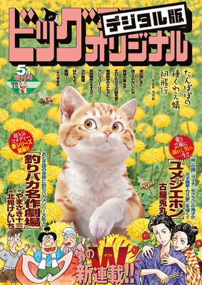 �ӥå����ߥå����ꥸ�ʥ�����