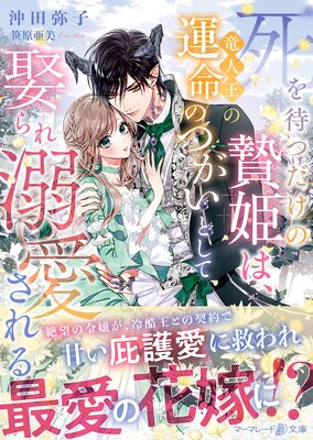 ����ԤĤ�������ɱ�ϡ�ε�Ͳ��α�̿�ΤĤ����Ȥ���ո���Ů�������