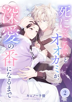 �ڥե륫�顼�ۻ�ˤ����ʤ��ȥ������ߤ����������֤ˤʤ�ޤǡ�2��