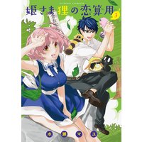 姫さま狸の恋算用 3