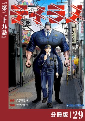 �ƥ���Ρ�ʬ���ǡۡʥݥ륫���ߥå�����29