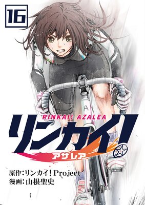 ��󥫥��������쥢��ñ���ǡ� 16