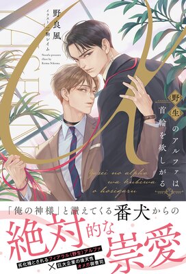 �����Υ���ե��ϼ��ؤ��ߤ�����ڥ��饹���դ��ۡ�ñ���ܽ񤭲�����SS�դ���