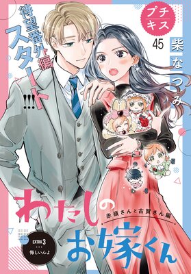 �錄���Τ��Ǥ��� �ץ����� 45��