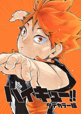 �ϥ����塼!! ���ƥ��顼�ǡڥե륫�顼��