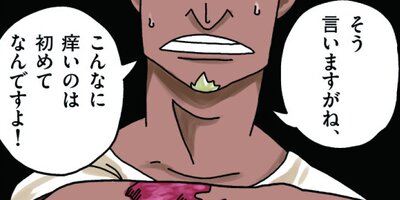 Ĩ��339ǯ ������ʸ��ԡˡڥե륫�顼��