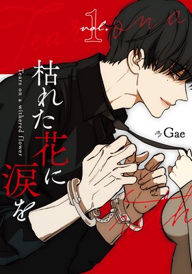 �Ϥ줿�֤��ޤ��ɽ��