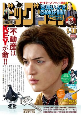 �ӥå����ߥå���ɽ��