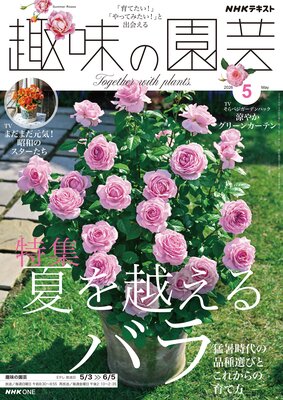 NHK ��̣�α�� 2026ǯ5���