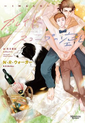 ���쥤�ɥ������פζ��ȡ�IMAGO����ɽ��