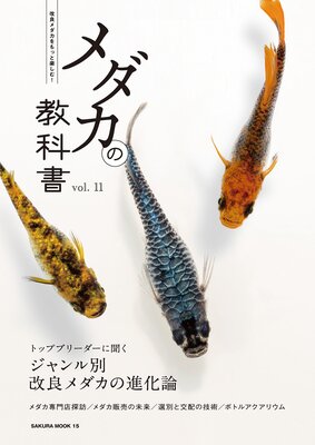 ������ζ��ʽ� vol.11��ɽ��