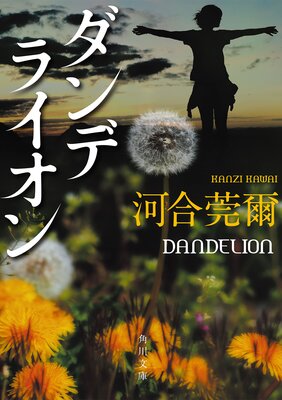 ����ǥ饤����