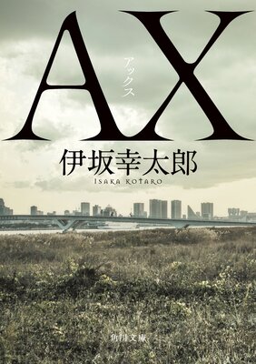 AX ���å���