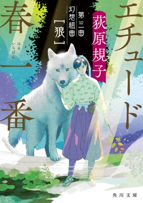 �����塼�ɽհ��� �軰�� �����ȶ� ��ϵ��