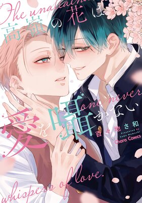 ����β֤ϰ����񤫤ʤ���SS�դ��ŻҸ����ǡۤ�ɽ��