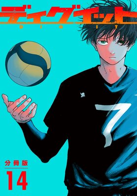 �ǥ������å� ʬ���� 14��