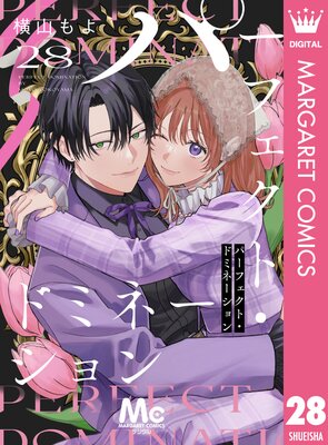 �ѡ��ե����ȡ��ɥߥ͡������ ʬ���� 28