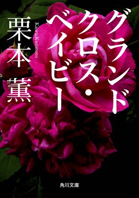 �����ɥ��������٥��ӡ�