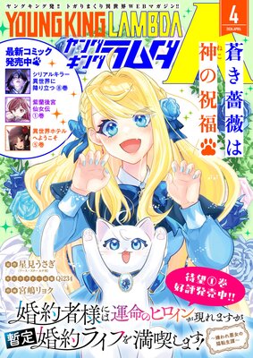 ��󥰥��󥰥���48���ɽ��