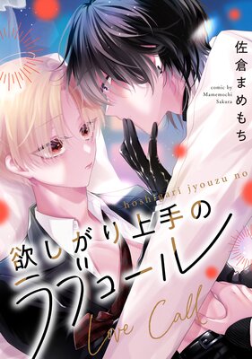 �ߤ�������Υ�֥������ʬ���ǡ�